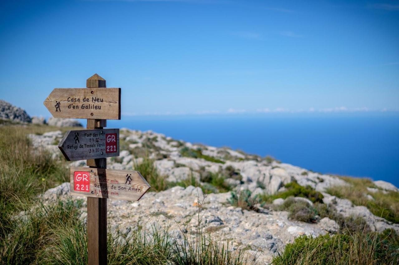 Can Flores 3 Διαμέρισμα Santanyí Εξωτερικό φωτογραφία